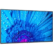 NEC MultiSync M491, Digital Signage Flachbildschirm, 124,5 cm (49"), IPS, 3840 x 2160 Pixel, 24/7