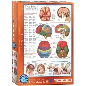 Eurographics Puzzle Gehirn 1000 Teile