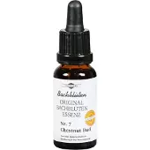 Ricola Bachblüten Murnauer Chestnut Bud Tropfen, 20 ml TRO