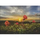 Sonstige Verlage Cloudberries Puzzle 1000 Teile