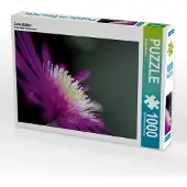 CALVENDO Zarte Blätter 1000 Teile Puzzle quer 640x480mm, Marten Martina; 7363220
