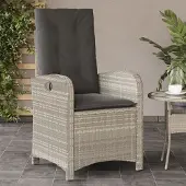 vidaXL Design Gartensessel mit Kissen Verstellbar Hellgrau Poly Rattan, Gartenstühle 2024 Neu