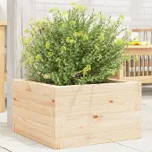 vidaXL Möbel Pflanzkübel 40x40x23 cm Massivholz Kiefer - Beete 847178