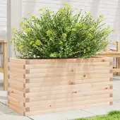 Prolenta Maison Exclusive - Pflanzkübel 90x40x45,5 cm Massivholz Kiefer