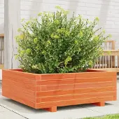 Prolenta Maison Exclusive - Pflanzkübel Wachsbraun 70x70x26,5 cm Massivholz Kiefer