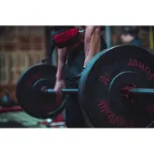 B2X 15 kg Men's Health Bumper Plate - gummibeschichtet