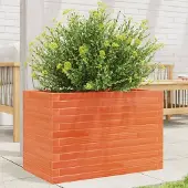 Prolenta Maison Exclusive - Pflanzkübel Wachsbraun 70x40x45,5 cm Massivholz Kiefer