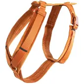 Kentucky Active Velvet Hundegeschirr
