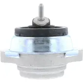 VAICO Motorlager Hydrolager Vorne für BMW X5 (E53) V20-0942