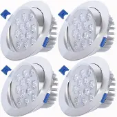 ROSNEK 4x 12W LED Schwenkbar Einbaustrahler Panel Deckenleuchte Strahler Einbauleuchte Deckenlicht, Naturweiß