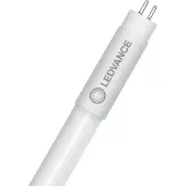 Ledvance Leuchtmittel