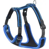 Ferplast Ergocomfort P, Hund, Westengeschirr, XL, Schwarz, Blau, Einfarbig, 92 cm