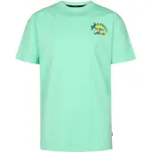 Petrol Industries T-Shirt mit Grafik-Rückenprint Costa in Grün | Gr.: 116