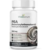 VitaSanum - PEA (Palmitoylethanolamid) 100 St Kapseln