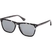 Web WE0363 Grey 55/16/145 Herren Sonnenbrillen
