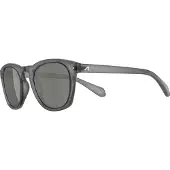Alpina sport Sonnenbrille Alpina Sunbeam grau transp. glänzend, Glas grün, Kat.3