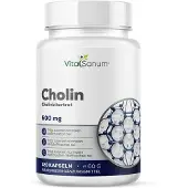 VitaSanum Cholin 500 mg – Cholinbitartrat 120 St Kapseln