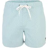 Quiksilver Everyday Deluxe Volley 15´´ Badeshorts