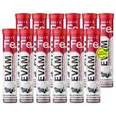 EVÄM Eisen + Vitamin C Brausetabletten Blackcurrant – 14 mg Eisen + 80 mg Vitamin C, 12er Röhrchen mit 240 St, vegan ohne Zuckerzusatz Germany