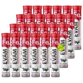 EVÄM Eisen + Vitamin C Brausetabletten Blackcurrant – 14 mg Eisen + 80 mg Vitamin C, 2er Röhrchen mit 40 St, vegan, ohne Zuckerzusatz, Germany
