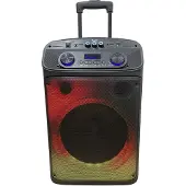 New Majestic Neu Flame T55 PA Trolley System 40 W Schwarz