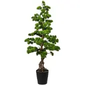 P&b Bonsai 3320179LO-50 aus Kunststoff