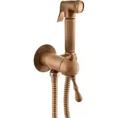 RAV copy of Bidet, WC Unterputz-Einhandmischer LABE mit Handbrause SLEZAK