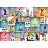Sonstige Verlage Yoga Dogs. Puzzle 1000 Teile