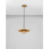 Lyora Pendelleuchte Fox Gold