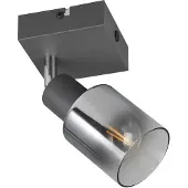 TRIO Schwarze Wandlampe Cadiz mit Rauchglas