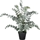 Modern Living Kunstpflanze Eucalypthus II Grau/Grün ca. 53cm