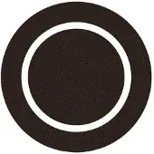 WORX Schleifblatt für Exzenterschleifer Vibrafree Ø125 mm, Korn 60, 15 Stück
