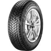 GT Radial Winterreifen motorcycle-tyres WinterPro2 ( 165/70 R14 81T )