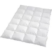 TRAUMSCHLAF Daunendecke Arktis warm, Füllung: 90% Daunen, 10% Federn 155x200 cm