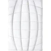 Frankenstolz Allergo 155x220 cm Vierjahreszeiten-Steppbett