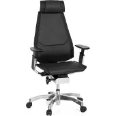 Hjh OFFICE GENIDIA PRO Leder - High End Bürostuhl Schwarz