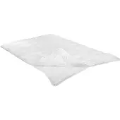 Badenia irisette 4-Jahreszeiten-Steppbett Irisette Microfaser Jette Größe 155x220cm