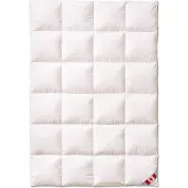 Künsemüller Schneegans 4x6 Daunendecke 155x220cm