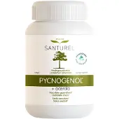 Santurel Pycnogenol + Acerola – Hochdosiert 100mg | Durchblutung & Blutkreislauf 120 St Kapseln