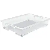 Rotho Unterbettbox 50 l EVO EASY, Farbe:Transparent