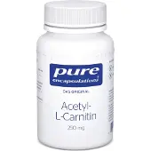 Pro Medico Acetyl L Carnitin 250mg Kaps. 60 St Kapseln