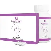 PF Pontilexx | Rezeptfrei & für Frauen hochwertiger Traubenkernextrakt 1x60 St Kapseln