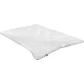 Badenia irisette IRISETTE Gerda 200x200 cm, Vierjahreszeiten-Steppbett