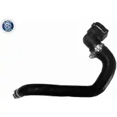 VAICO Kühlerschlauch Wasserschlauch für FIAT DOBLO Kasten/Kombi (263) V24-1279