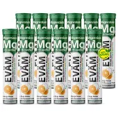 EVÄM Magnesium + B-Komplex Brausetabletten – 300 mg Magnesium + Vitamin B1, B2, B6, B12, Orange – 12 Tuben à 20 Stück (240 Tabletten)