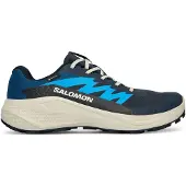 Salomon Alphaglide GTX, Laufschuhe, Herren, blau