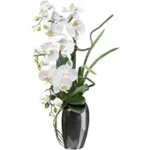 Creativ Company CREATIV green künstliche Pflanze Phalaenopsis 68 cm
