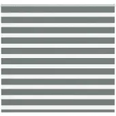 vidaXL Doppelrollo Dunkelgrau 155x150 cm Stoffbreite 150,9 cm Polyester
