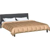vidaXL Ganzjahresbettdecke 200 x 200 cm 300 g/m² Gold