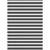 vidaXL Doppelrollo Schwarz 165x200 cm Stoffbreite 160,9 cm Polyester
